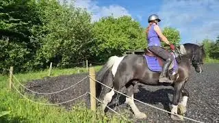NES semi final novice. 3c 68.8%