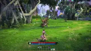 TERA Online: First Look At The Mystic Class