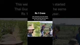 MBA graduate earns Rs 1 Crore from Guava Farming.