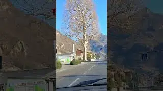Donnas IV (Platanus), Aosta valley, Italy, 28/12/24 #aostavalley #sunny #historic #tree