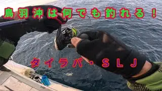 鳥羽沖タイラバ・ＳＬＪ