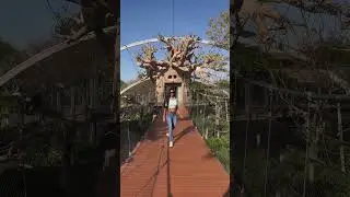Dubai Safari Park - Book Now