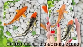Fish Live Wallpaper 2018: Aquarium Koi Backgrounds By Deeko Games Explainer Video