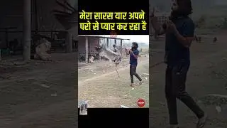 अपने परो से प्यार कर रहा है #arif #saras #pakshi #dosti #newvideoout #viralsaras #sarasarif #shorts
