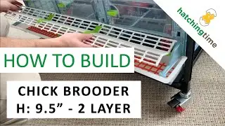 Chick Brooder - H: 9.5