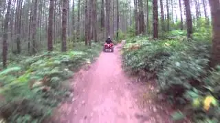 VID00005