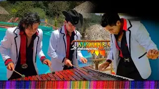 Saca La Tuya _ Alma Lira La Internacional (Vídeo Oficial)