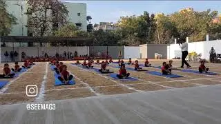Preprimary  sports meet yoga performance by kids