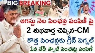 ఆగస్ట్ నెలలో కొత్త పింఛన్లు పంపిణీ|august month new spouse pension distribution|ntr Bharosa pensions