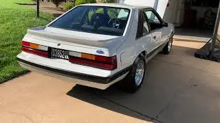 1985 GT mustang 306 gt40p heads carbureted