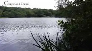 Fishing at Bracebridge pool sutton park