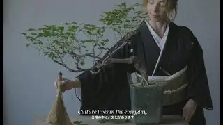 Between Roots - Episode One  - Japanese Culture Lives On in Australia Through Kimono, Bonsai & Bento