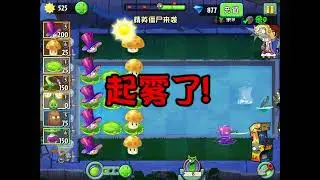 Pool (Night) 🌊 | PvZ 2 China