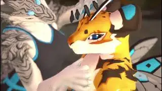 Tigerbee follower showcase