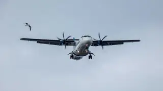 Plane Spotting till Sunset (Final Approach) to Belfast City Airport (BHD) 22nd August 2023