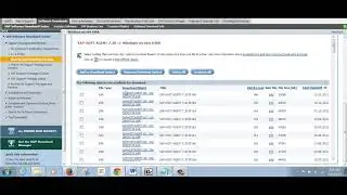 Sap Solution Manager