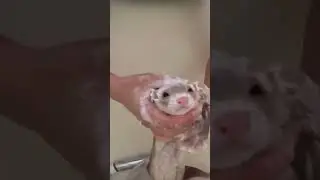 🫣🫣🫣 #jmyusan #shower  #washing #couple #couplegoals