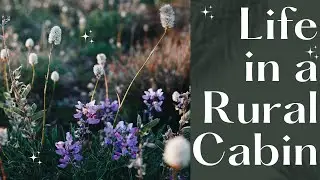CABIN LIFE | Springtime in a Rural Alabama Cabin