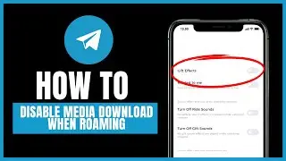 how to disable media download when roaming on telegram