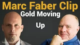 Marc Faber  Understanding Gold Investments in a Shifting Economic Landscape