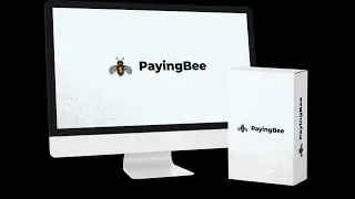 Paying Bee App Review