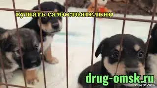 Итоги дня 18.11.2025