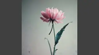 See And Good