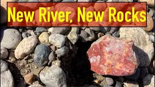 Found CRAZY Jasper on a New River | Montana Rockhounding | Hunting Agates, Jasper, Petrified Wood