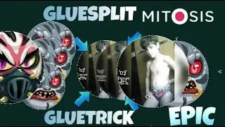 EPIC GLUESPLIT AND GLUETRICK | FUNNY MOMENTS, 53K SOLO | MITOSIS MONTAGE