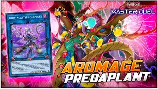 The Best Card to Play With?! Aromage (Aroma) Predaplant Deck! [Yu-Gi-Oh! Master Duel]
