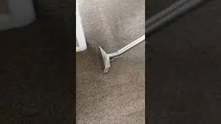 &ldquo;Deep Carpet Cleaning Satisfaction 😍 | Suds Up Carpet Cleaning&rdquo;
