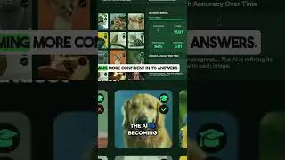 AI Accuracy Breakthrough: Cats, Dogs, and Birds!