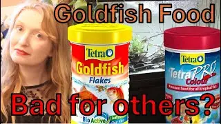 Is Goldfish food bad? Does it matter what you feed your aquarium fishes? #aquarium #goldfish