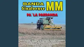 Los Laureles