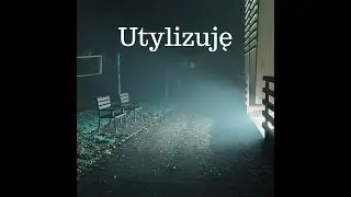 Smutny Wron - Utylizuję (official video)