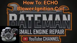 Echo Blower NO SPARK, How to Diagnose and Replace Ignition Coil/Module.