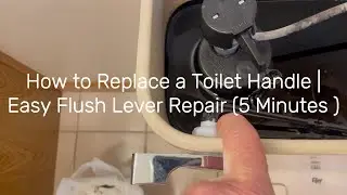 How to Replace a Toilet Handle | Easy DIY Flush Lever Repair (5 Minutes)