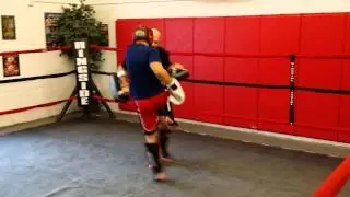 George Comer level 2 round 1
