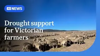 Extra $15.9m in drought support for Victorian farmers | ABC News