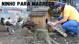 Construindo ninhos para aquáticos + atualização dos marrecos cool | Coração Campeiro