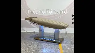 Cosmetic Facial Spa Bmasage Table 4 Motors Electric Reclining Heavy Duty Beauty Bed with Lights