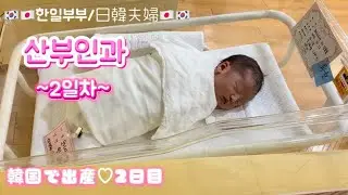 [한일부부]10개월에 기다림!! 다혜야 안녕!! 가족이 생겼어요