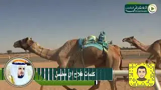 شيلة  اصايل يام مهداه  الى عبدالهادي بن دوحان كلمات فلاح ال مخلص اداء غريب آل مخلص