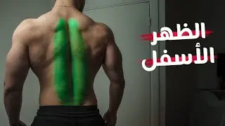 فرق القبضة | عضلة الظهر | الجزء الأول