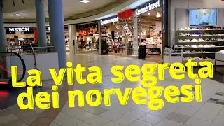 Cronache norvegesi VIII. Narvik, ci facciamo spennare a pranzo. Problemi riscaldamento. Sommarøya.