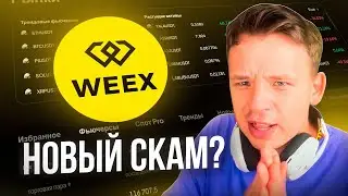 Что за WEEX Биржа? СКАМ ИЛИ ВОЗМОЖНОСТЬ?