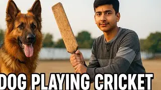 Playing Cricket 🏏 With Charlie The German Shepherd ❤️ #cricket #germanshepherd 