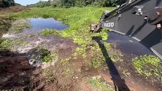 OLHA O ALCANCE DESSE GANCHO LIMPANDO O RIO 🌿💪