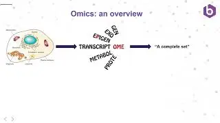 The AI Automation of Omics Workflows - Part (1/3) Nobel research sprint 2025