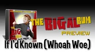 [The BIG ALbum Preview] If I'd Known (Woah Woe) [VOCALOID Original]